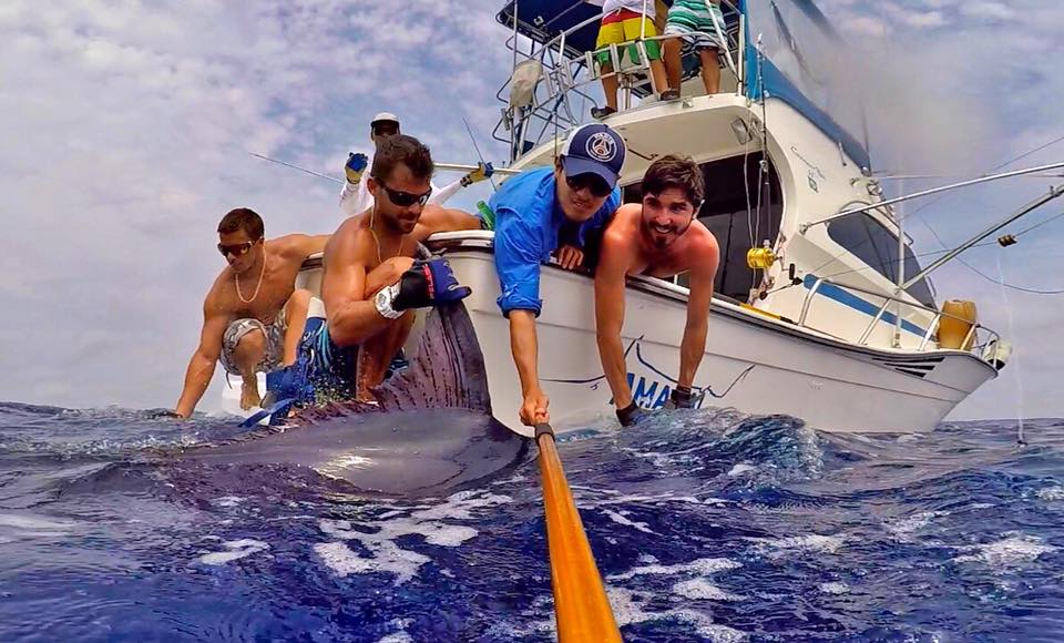 15135906_670719376428755_1124315877267184327_n